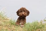 LAGOTTO 153